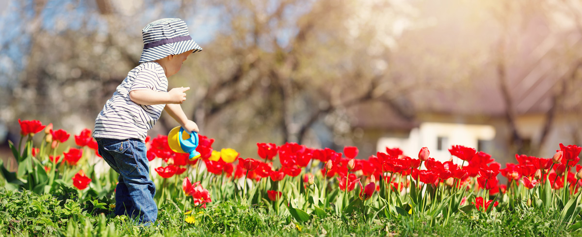 Child Watering Flowers